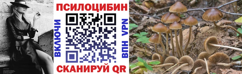 mega рабочий сайт Урень Галлюциногенные грибы мицелий